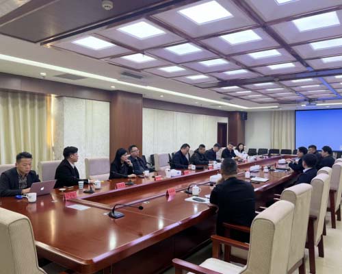 ������Ŀʵʩϸ��